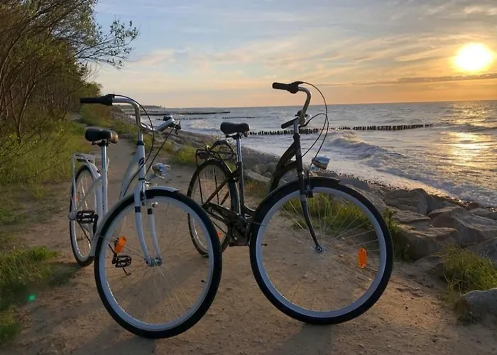 Seaside Czarna Mewa *